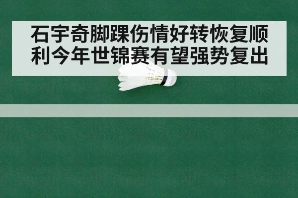 石宇奇脚踝伤情好转恢复顺利今年世锦赛有望强势复出