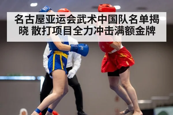 名古屋亚运会武术中国队名单揭晓 散打项目全力冲击满额金牌